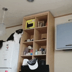 Https Encrypted Tbn0 Gstatic Com Images Q Tbn 3aand9gcs X8abkkvf2m7qxohjioqotzzapqxccgq72k52rtcplhvnm2u